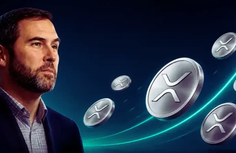 ripple-ceo-shares-reasons-for-strong-optimism-regarding-xrp-9689b8